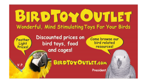 Bird Toy Outlet Business Card